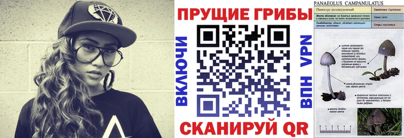 ссылка на мегу ССЫЛКА  даркнет сайт  Пойковский  это клад  Галлюциногенные грибы Magic Shrooms 